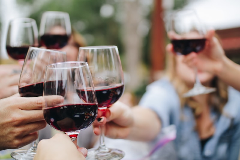 Bars à vins naturels à Bordeaux — la révolution tranquille des caves biodynamiques